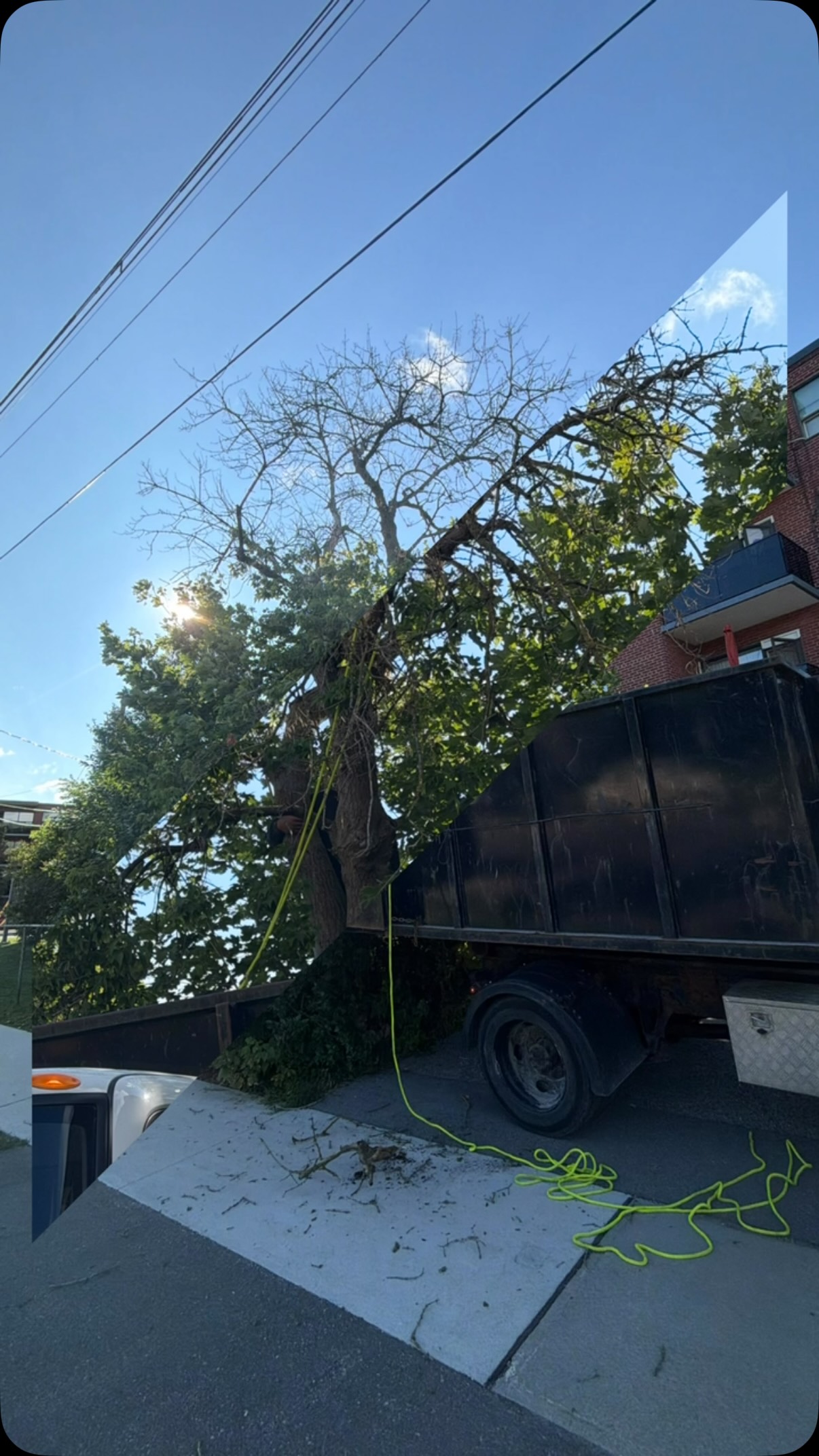 ArchCap on Instagram: When the city gives you 10 days… you call us. 🚜🌲

A tenant reported several unsafe trees on this property, and the build